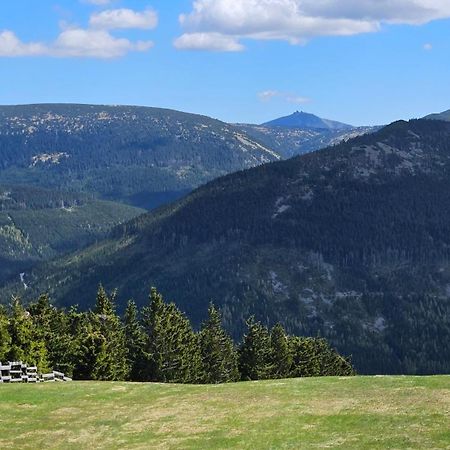 Rezidence Alpina - Apartman 15 Špindlerŭv Mlýn Exteriör bild